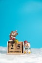 Brown bear wearing a Christmas hat and snowman sitting on wooden block calendar set on the Christmas date 25 december on white woo