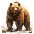 Brown bear on a white isolated background, king of the forest - AI generated image Royalty Free Stock Photo