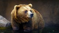 Brown bear zoo animal mammal wild head big danger dangerous fur furry looking away nature wildlife water wet body part ursus Royalty Free Stock Photo