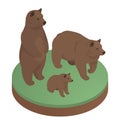 Brown bears isometric illustration