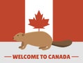 Brown beaver animal character mammal on canada red white flag background canadian vector illustration Royalty Free Stock Photo