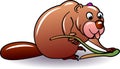 Brown beaver Royalty Free Stock Photo