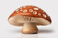 Brown beech mushroom, cut out on white background