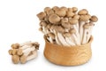 Brown beech mushrooms or Shimeji mushroom in wooden bowl isolated on white background with clipping path and full depth Royalty Free Stock Photo
