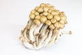 brown beech mushrooms on white background. Shimeji mushroom Royalty Free Stock Photo