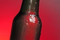 Brown beer bottle Royalty Free Stock Photo