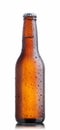 Brown beer bottle Royalty Free Stock Photo