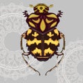 Brown beetle with yellow patterns