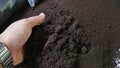 Bio fertilizer earthworm manure for plants