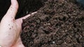 Bio fertilizer earthworm manure for plants