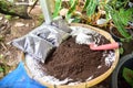 Bio fertilizer earthworm manure for plants