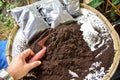 Bio fertilizer earthworm manure for plants