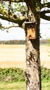 Brown birdhouse hung on a trunk of a tree with a field in the background Royalty Free Stock Photo