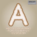 Brown Biscuit Alphabet and Numbers Vector