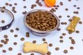 Brown biscuit bones and crunchy organic pieces for dog feed with black collar on light blue background. Healthy dry pet food Royalty Free Stock Photo