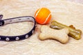 Brown biscuit bones for dogs with bright orange ball and black collar on light background. Royalty Free Stock Photo