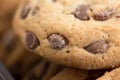 Brown biscuits cookies with chocolate parts