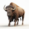 Powerful Bison 3d Render On White Background