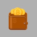 Brown bitcoin wallet with cash gold coins. Isolated vector illustration. Royalty Free Stock Photo