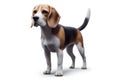 Brown and black Beagle dog standing alone on white background. Generative Ai