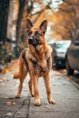 A brown and black dog standing on a sidewalk next to a car. Generative AI Royalty Free Stock Photo