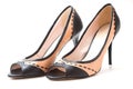 Brown and black stilettos shoes on white background