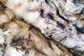 Brown and black wool texture background. Top view of natural fur.Texture of brown and black Fur coat, close up Royalty Free Stock Photo