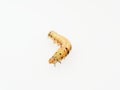 Brown and black worm or caterpillar isolated on white background Royalty Free Stock Photo