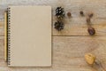 Brown blank notebook with wooden pencil near dried pine cone che