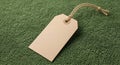 A brown, blank tag is placed on a textured green fabric surface. The tag is rectangu Royalty Free Stock Photo