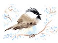 Watercolor Cute Chickadee Bird Painting Image