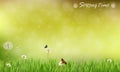 Brown blur background of spring meadow with butterflies Royalty Free Stock Photo