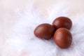 3 brown boiled Easter eggs on white feathers