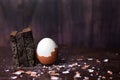 Brown boiled half-peeled egg and pieces of black bread on a dark wooden background with scattered salt and shell