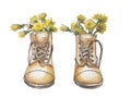 Brown boots like a vase for dandelions Royalty Free Stock Photo