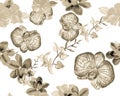 Brown Botanical Set. Colorless Orchid Design. Gray Hibiscus Texture. Flower Jungle. Watercolor Foliage. Seamless Decor. Pattern Te