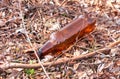 A brown bottle of beer lies on the ground in the forest Royalty Free Stock Photo