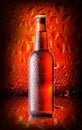 Brown bottle cold beer Royalty Free Stock Photo