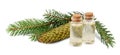 Brown bottle of spruce essential oil and fir branches Royalty Free Stock Photo