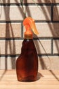 Brown bottle for sunblock spray or tanning oil spray