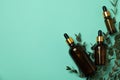 Brown bottles of eucalyptus oil and branch on mint background
