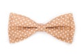 Brown bow tie with white polka dots on an isolated Royalty Free Stock Photo