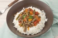 A brown bowl of white rice with stir fry beef with Royalty Free Stock Photo