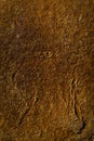 Brown bread crust with visible details. texture or background Royalty Free Stock Photo