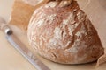 Brown bread loaf Royalty Free Stock Photo