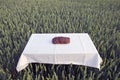 Brown bread loaf on table in farm wheat crop field Royalty Free Stock Photo