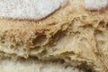 Brown bread macro still wheat texture detail close up Royalty Free Stock Photo