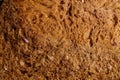 Brown bread macro texture background Royalty Free Stock Photo