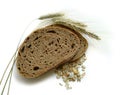 Brown bread, rye ears (spikes) and corn Royalty Free Stock Photo
