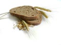 Brown bread, rye ears (spikes) and corn Royalty Free Stock Photo